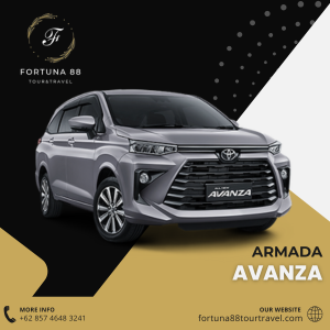 fortuna88-avanza